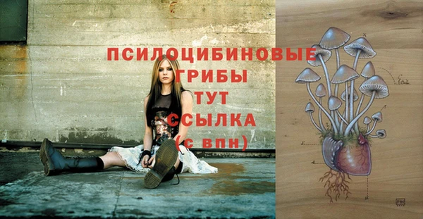 спайс Белокуриха