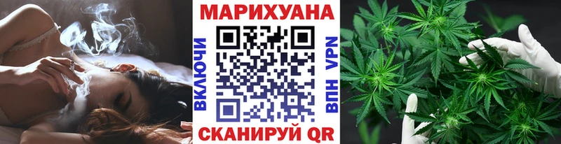 Конопля гибрид  Тогучин 